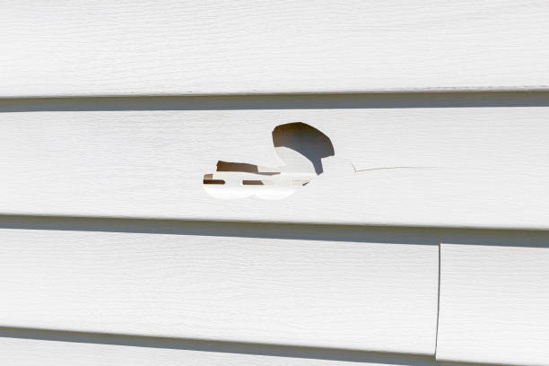 Best Fascia and Soffit Installation  in Dover, NH